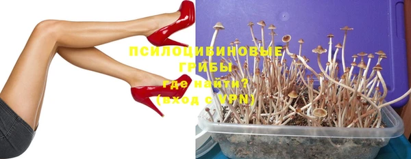 круглые Няндома