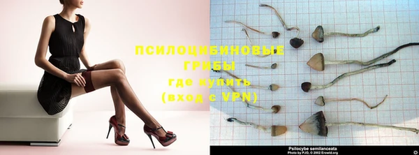 круглые Няндома