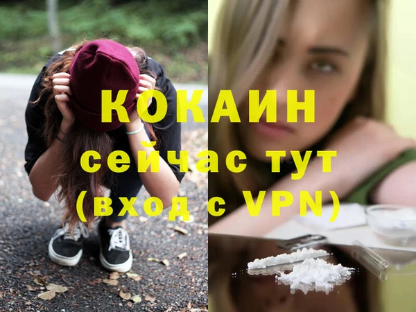 стафф Заводоуковск