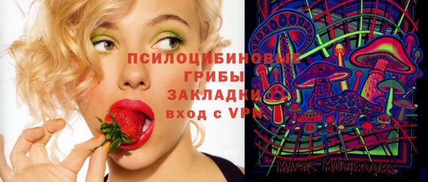 твердый Нягань