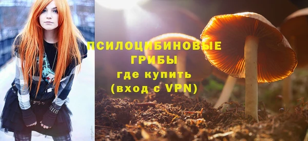 твердый Нягань