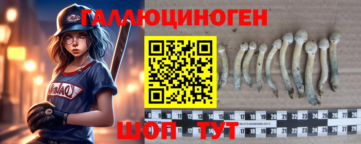 Галлюциногенные грибы прущие грибы Асино