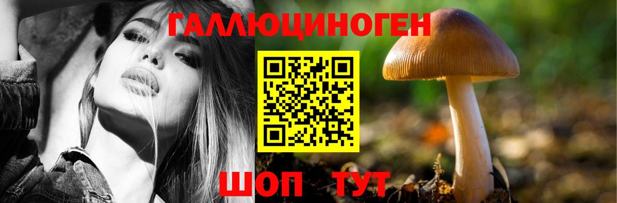 продажа наркотиков  Асино  Псилоцибиновые грибы MAGIC MUSHROOMS 