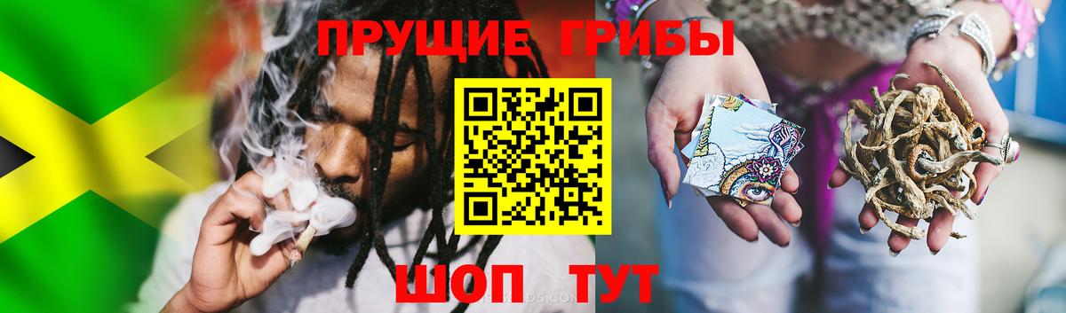 Галлюциногенные грибы MAGIC MUSHROOMS Асино