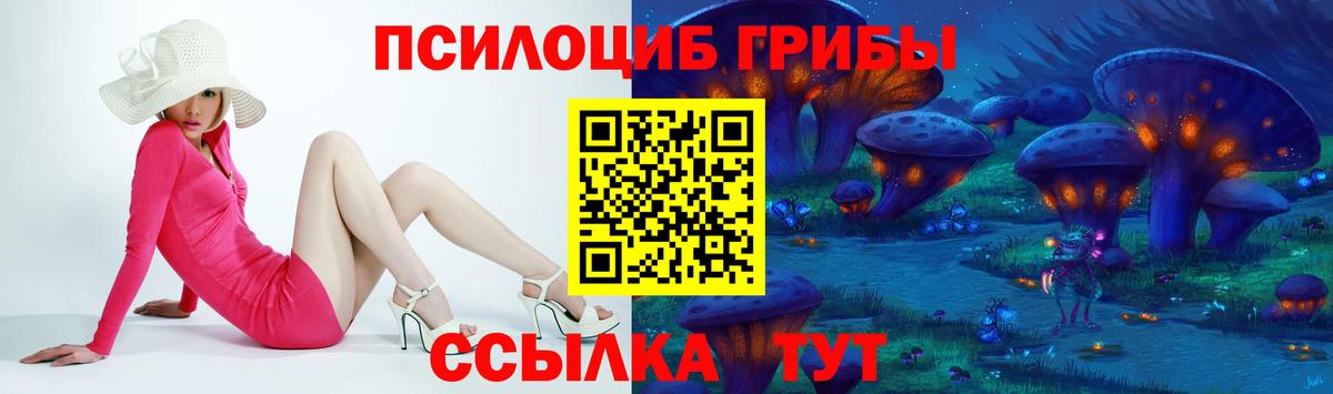 Псилоцибиновые грибы мицелий  Вход с VPN  Асино 