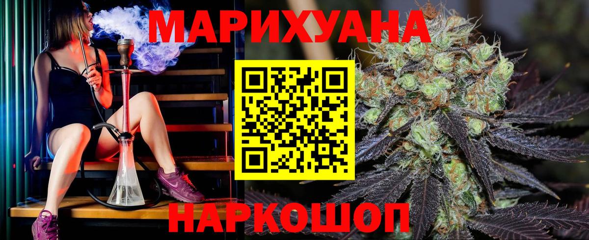 Бошки Шишки план Асино